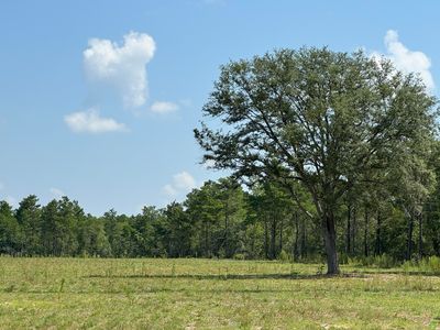 74AC W Us Highway 90, Defuniak Springs, FL, 32433