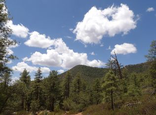 18 E Pine Hollow Trl, Pine, AZ 85544