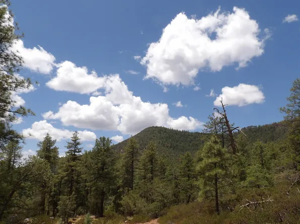 18 E Pine Hollow Trl, Pine, AZ 85544