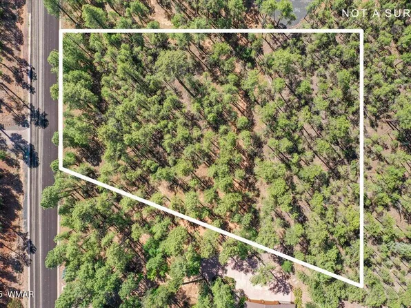 2280 S Bristle Cone Dr, Show Low, AZ 85901