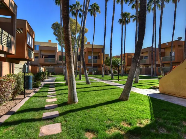 Courtyard outside of Patio, Beautiful Palm Trees