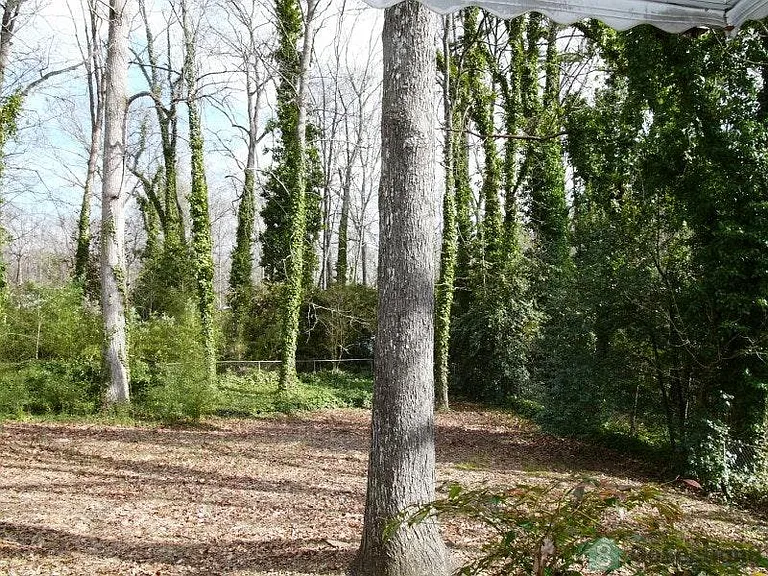 private peaceful back yard