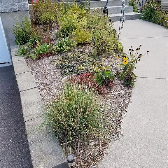 146 Virginia St — Photo 38