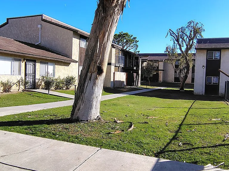 2401-013 Christmas Tree Ln #13 — Photo 9