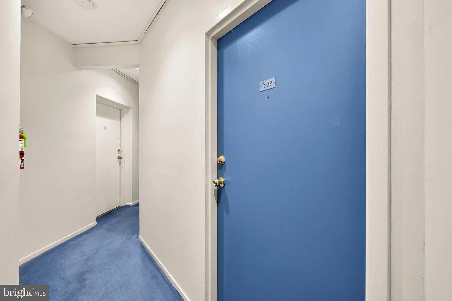 Studio, 346 sqft, $1,800 — Photo 3