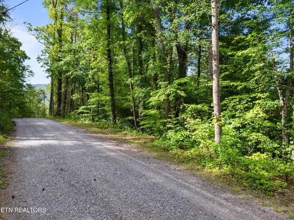 Grouse Top Rd Lot 3, Walland, TN 37886
