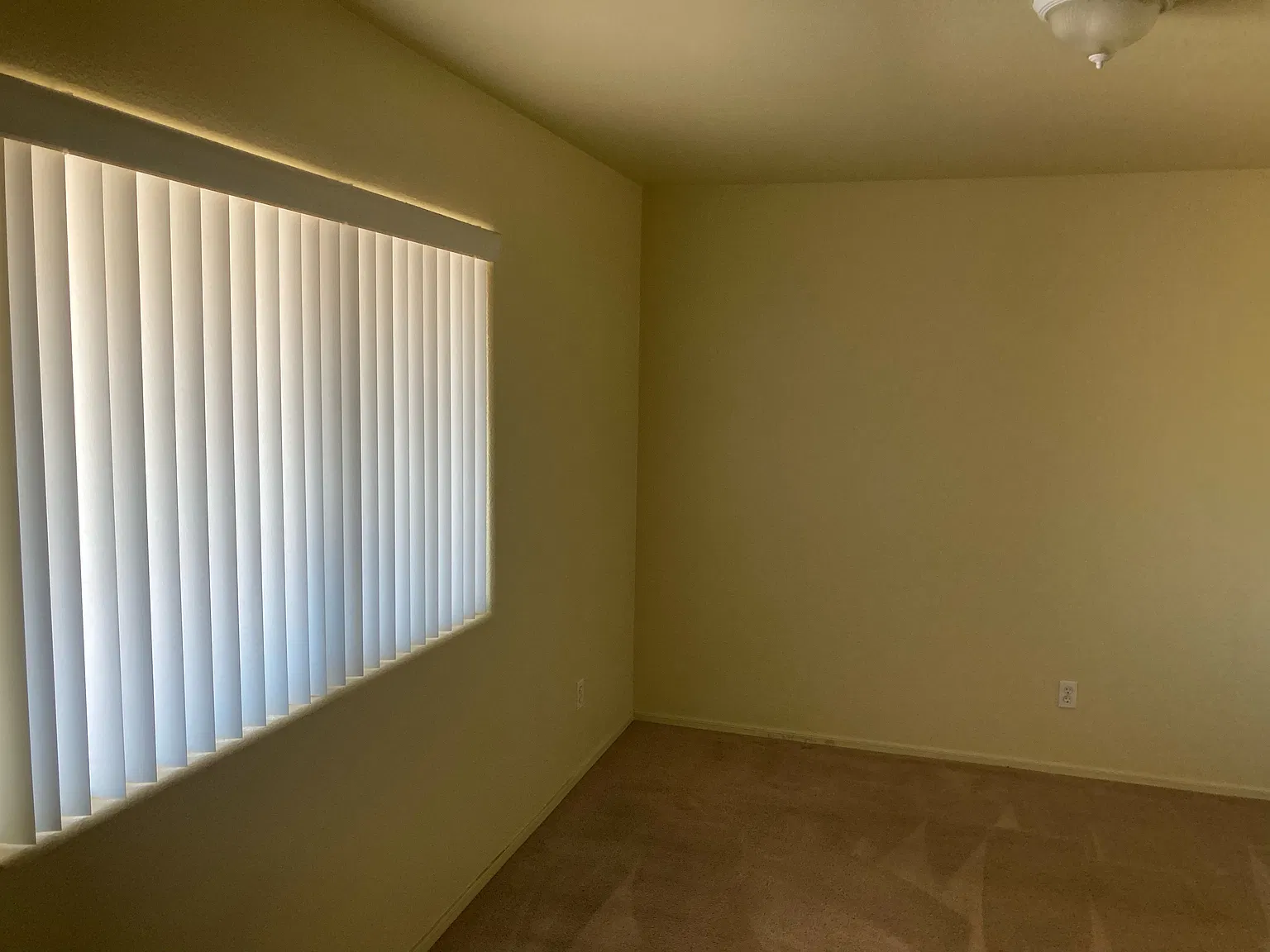 3 bed, 1168 sqft, $1,800 — Photo 4