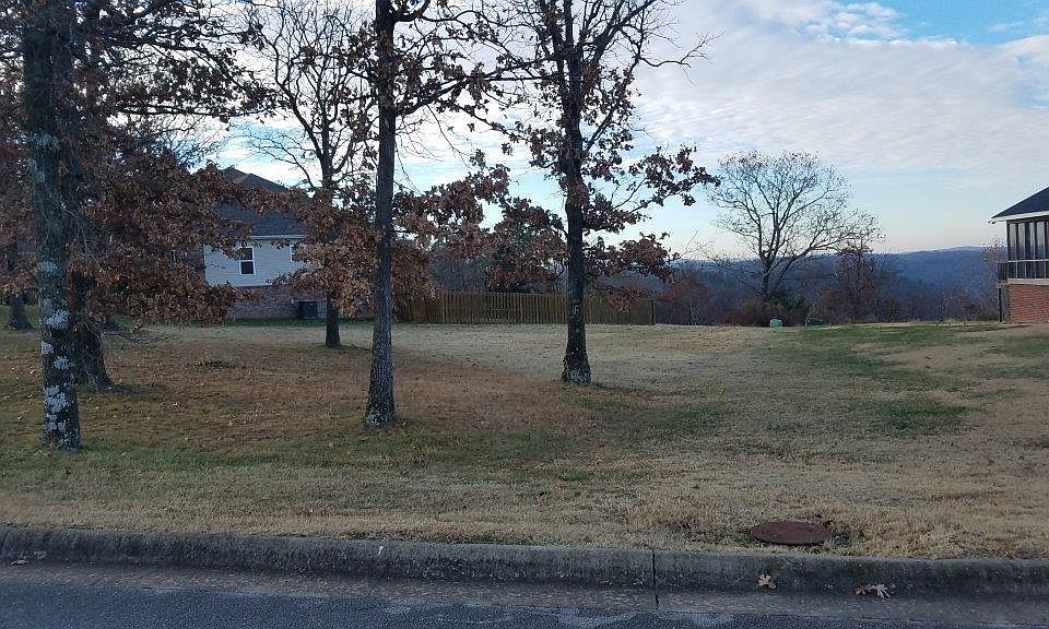 2nd image of 2 W Bluff Ln