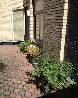 Rented by NY Living Solutions | media 27