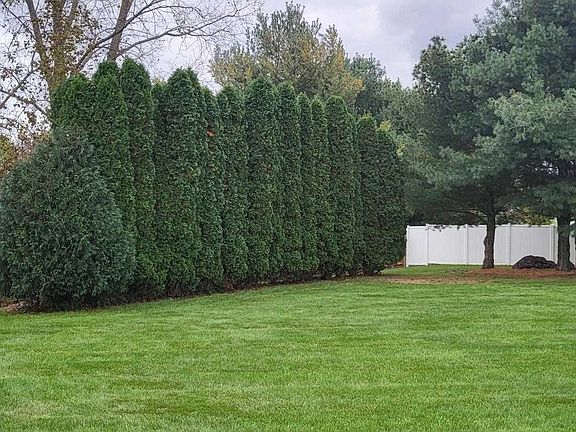 5th image of 58050 Diener Dr