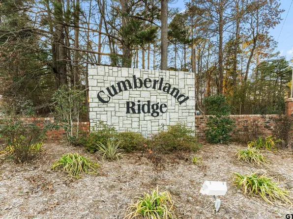 16029 Cumberland Way, Bullard, TX 75757