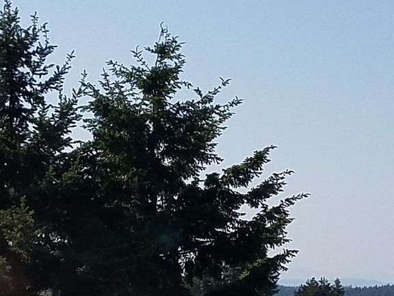 2nd image of 7320 N Skyview Ln APT M204