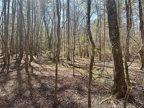 4th image of 555 Larmon Forks Rd #5B