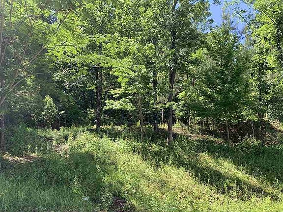 4th image of 1055 Laurel Lakes Dr