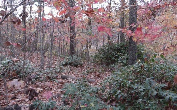 4th image of LOT 349 Drew Ct