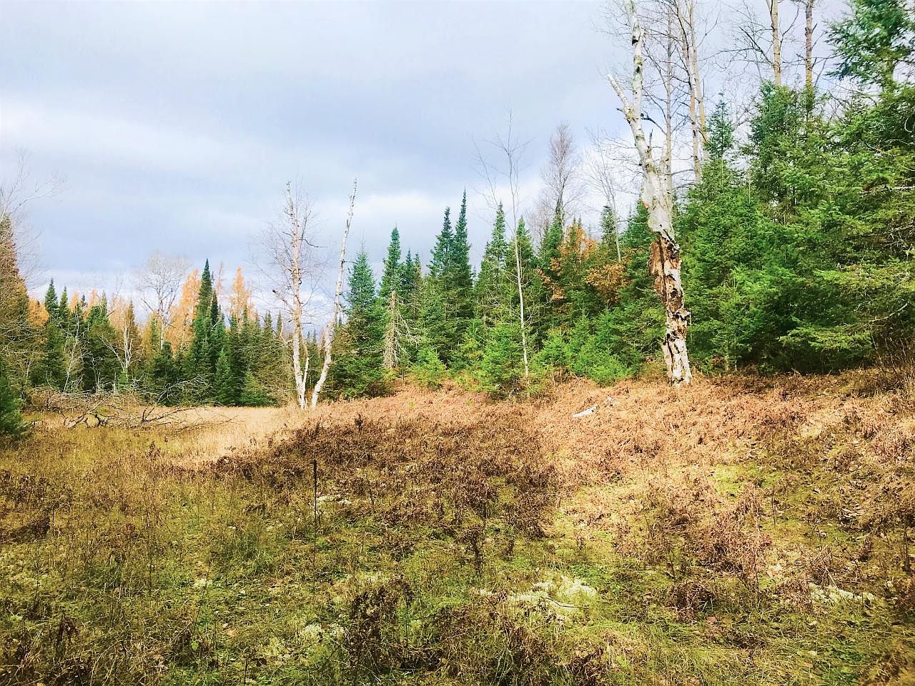 On Highway 45, Conover, WI 54519 Zillow