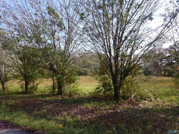 Lots 3&4 2nd Ave SW, Arab, AL 35016