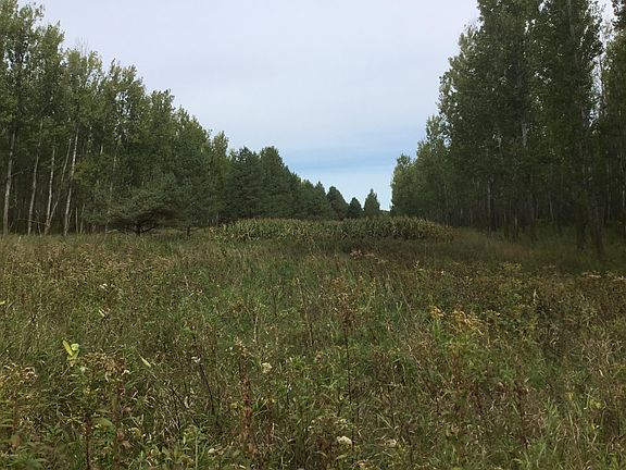 3rd image of 113TH Avenue