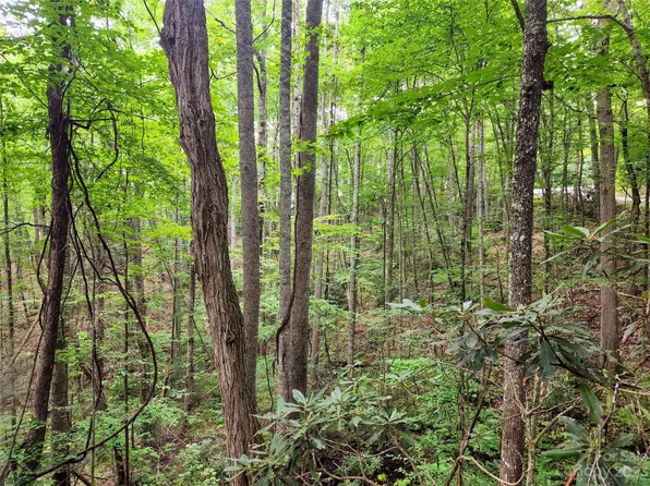 19 Connies Cv, Waynesville, NC 28785