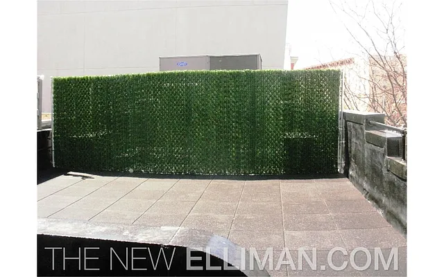 Rented by Douglas Elliman | media 35