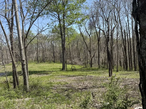 0 Highway 49 E Tract 4, Charlotte, TN 37036