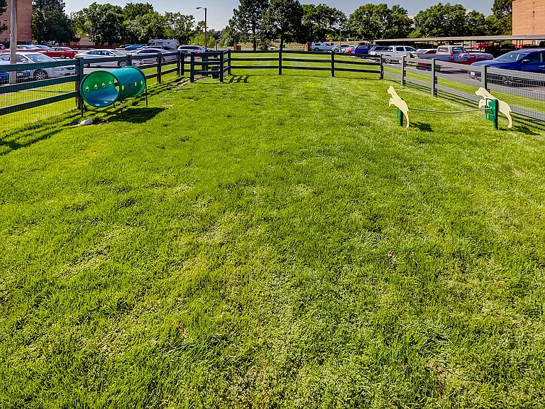 Play, Fetch, Repeat
