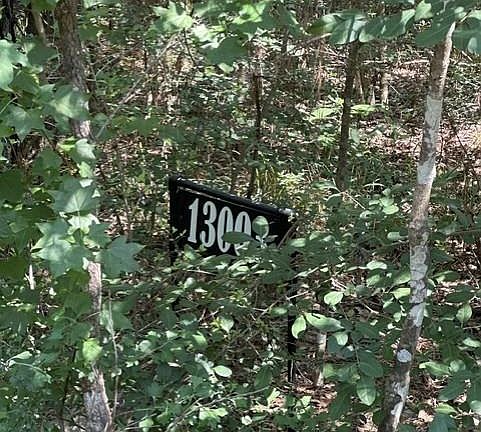 4th image of 13035 Hollybrook Dr