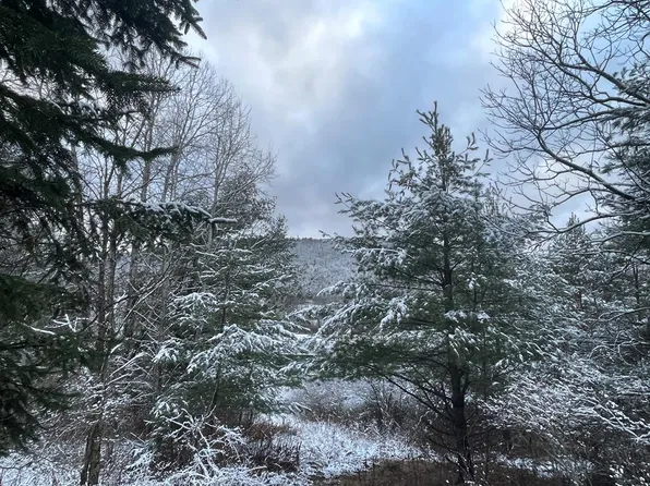 0 Switzer Hill Rd, Beaver Dams, NY 14812