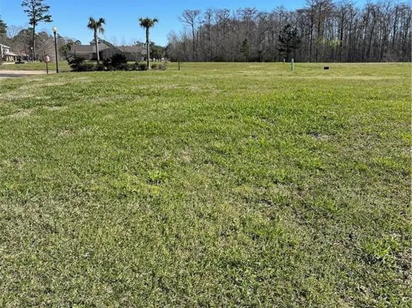 21565 Blue Marlin Dr, Springfield, LA 70462