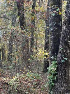N Loafers Ln, Monticello, AR, 71655