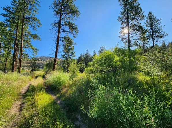 422 Swanson Mill Rd, Tonasket, WA 98855