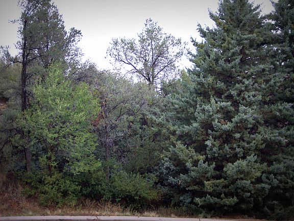 4th image of 536 Sleepyhollow Cir
