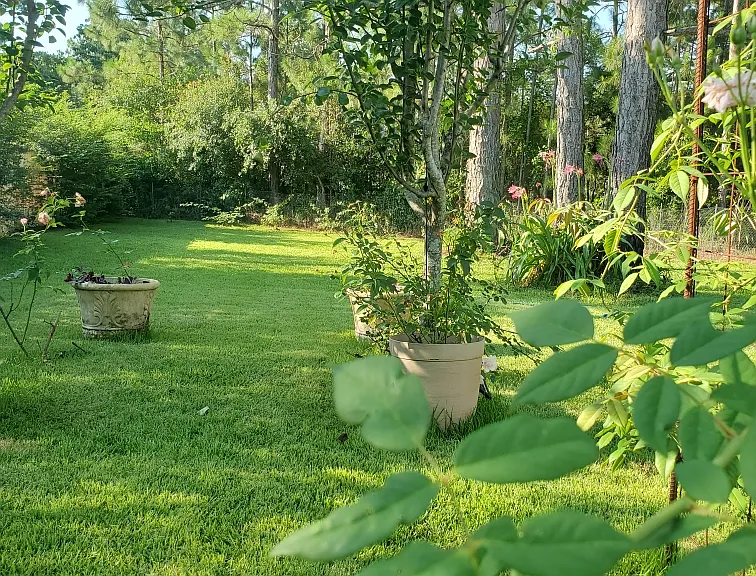 8958 Ellen Ct — Photo 12