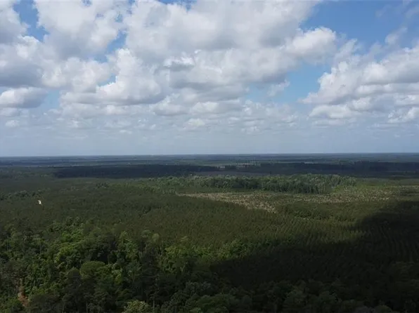 26331 S Satsuma Rd, Livingston, LA 70754