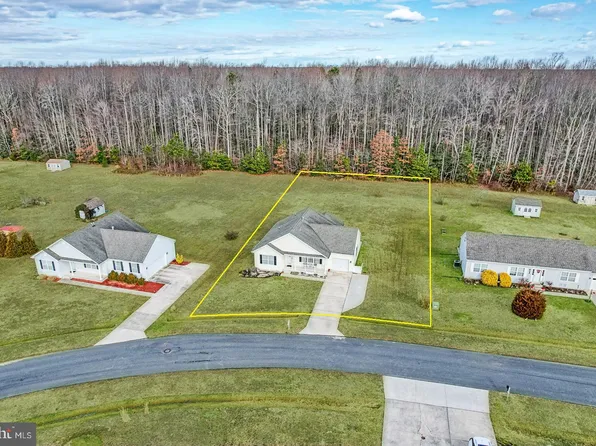 21179 Sand Dollar Trl, Lewes, DE 19958