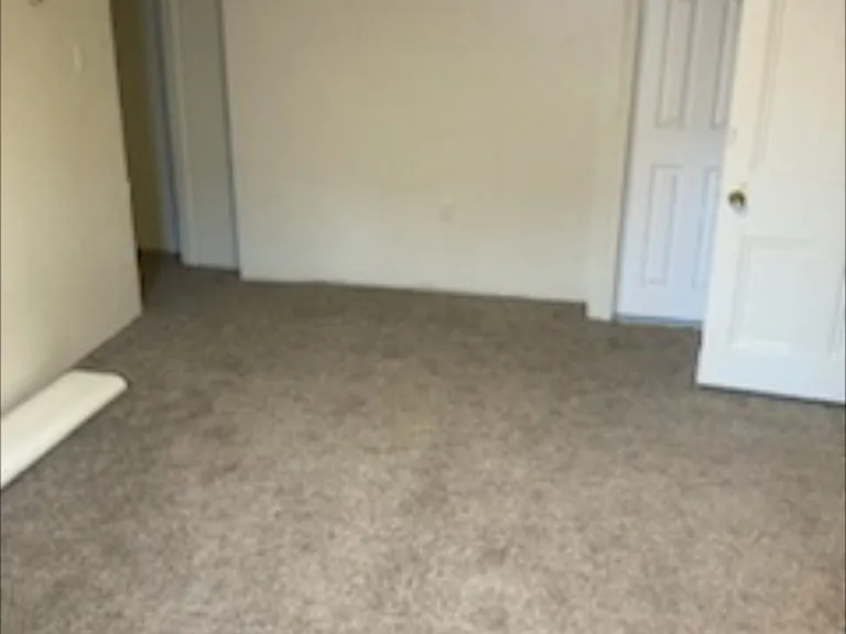 1417 Bingham St #1 — Photo 5