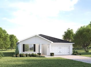 291 Prickly Pear Ct, Lady Lake, FL 32159