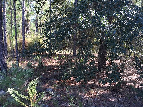 2nd image of 0 Bayberry Ln