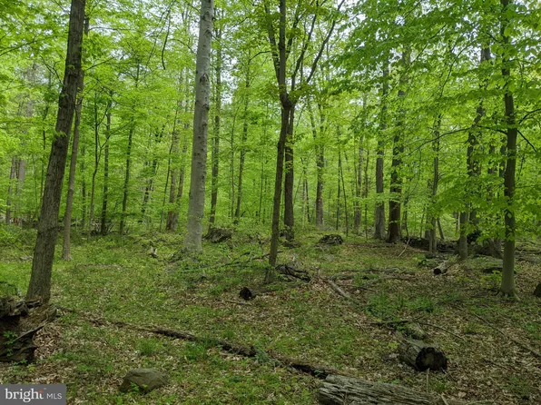1771 Deep Creek Rd, Perkiomenville, PA 18074