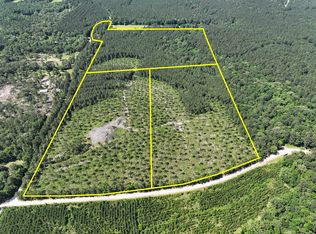 Westville Rd, Groveton, TX 75845