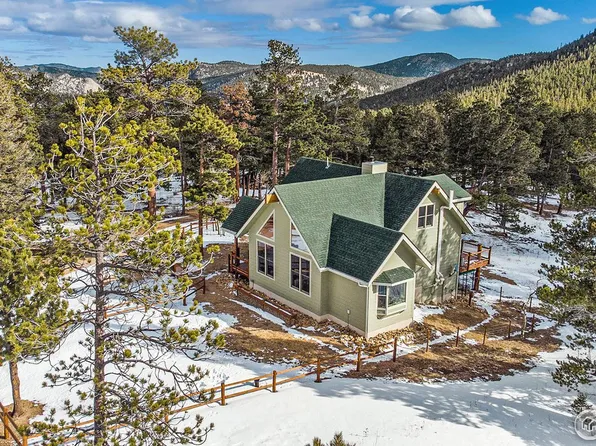 1001 Ski Rd, Allenspark, CO 80510