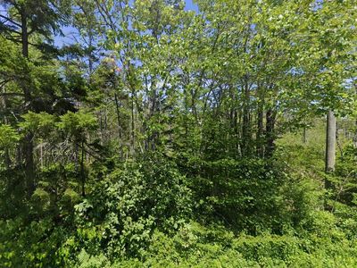 0 Flye Point Road, Brooklin, ME, 04616