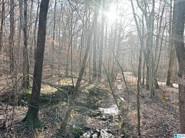 5325 Union T Rd, Talladega, AL 35160