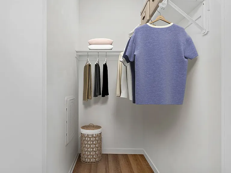 Walk-in closet