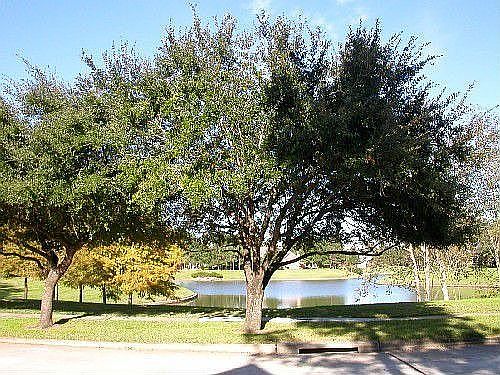 Front lake view