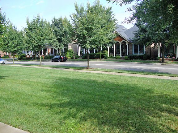 Norton's Front Green Area