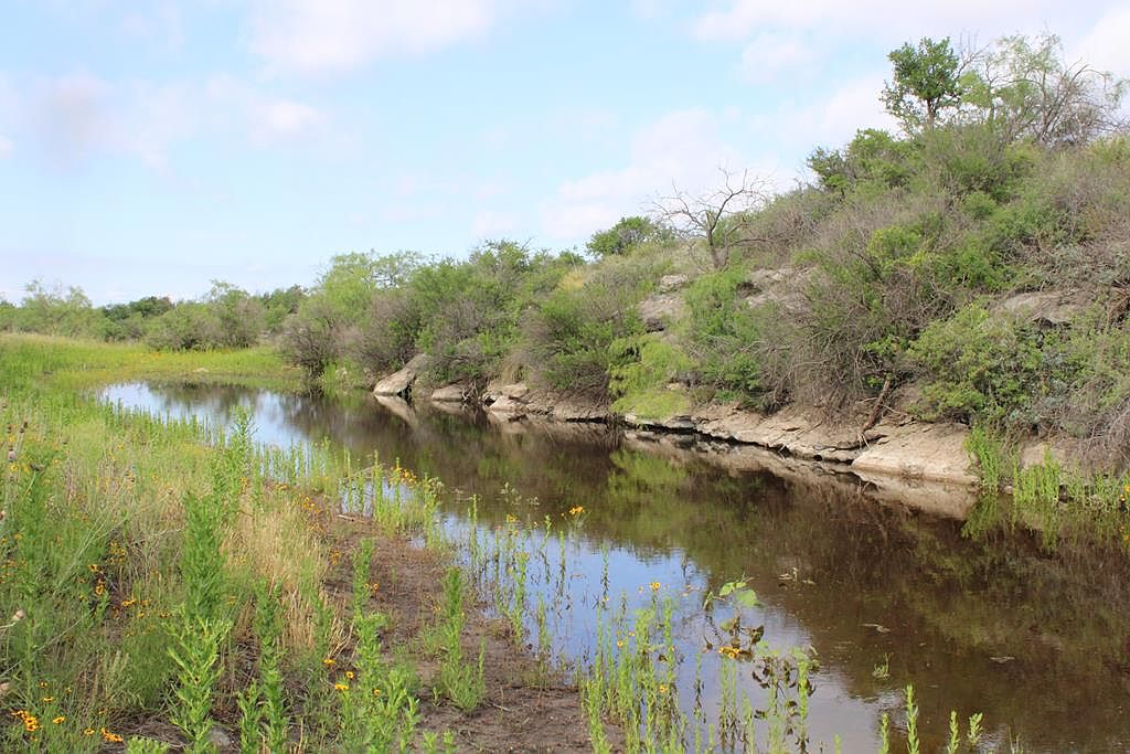 0 Fm 1929 E 0, Millersview, TX 76862 MLS 113234 Zillow