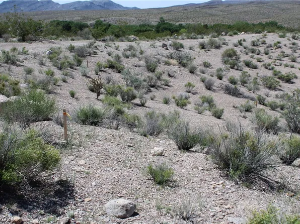 Buckhorn Rd, Alamo, NV 89001