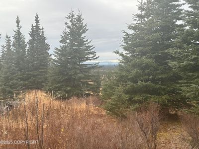 3 Wells St, Ninilchik, AK, 99639