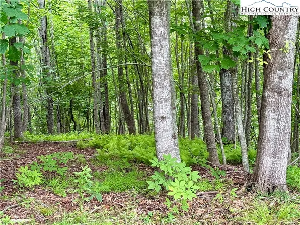 Lot 20 Twin Bridges Circle, Fleetwood, NC 28626